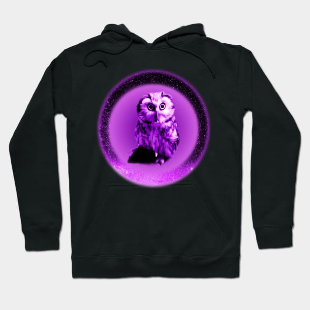 Purple Pygmy Galaxy Space Owl Hoodie by XanderWitch Creative